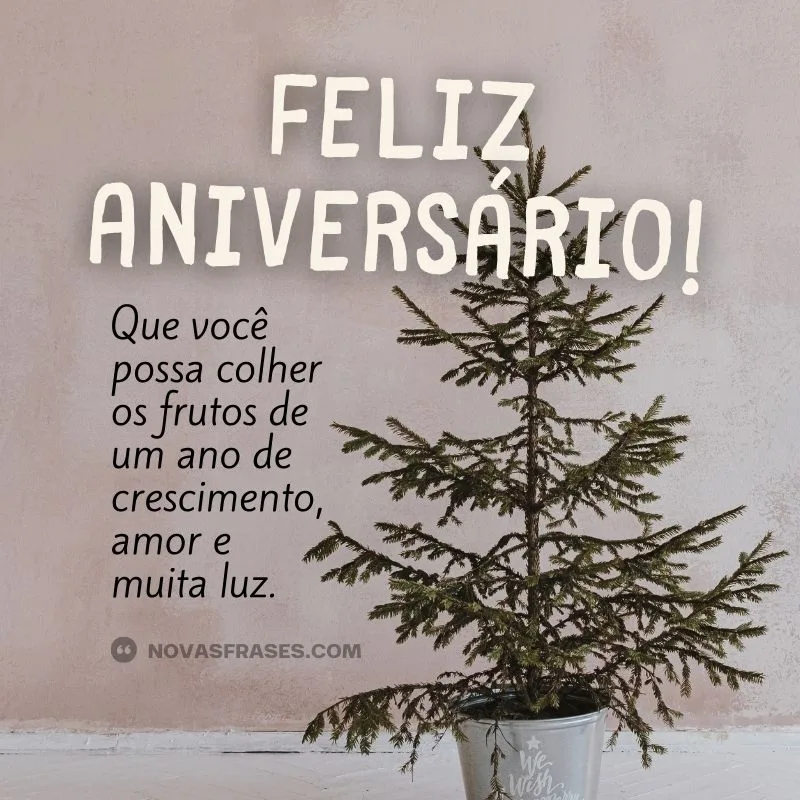 feliz aniversário amigo tumblr