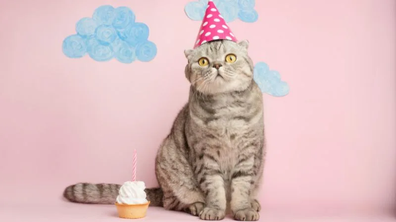 40 frases para desejar feliz aniversário atrasado