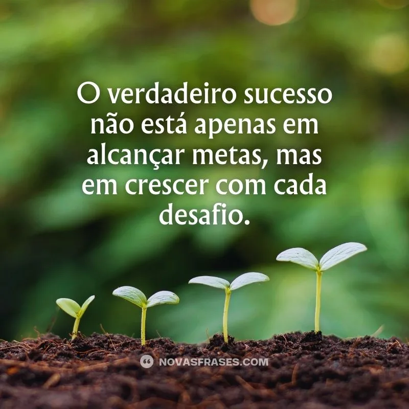 frases de motivação para status