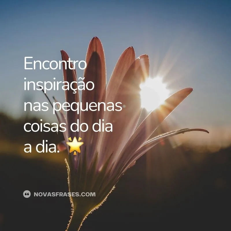 frases para foto sozinha instagram