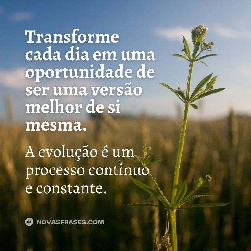 frases para vida motivacionais