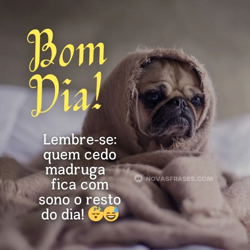 bom dia memes engraçados