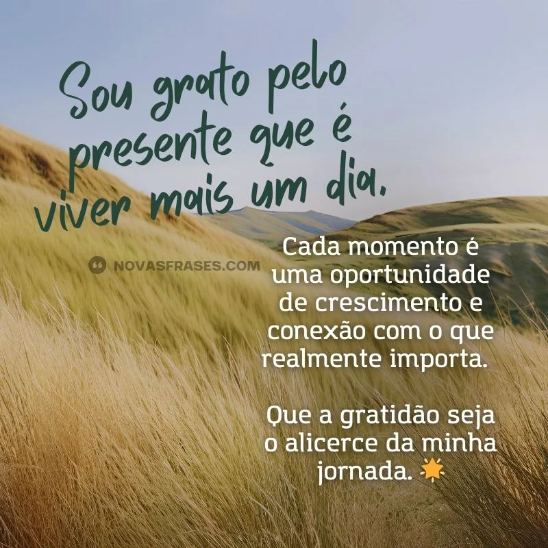 frase de agradecimento