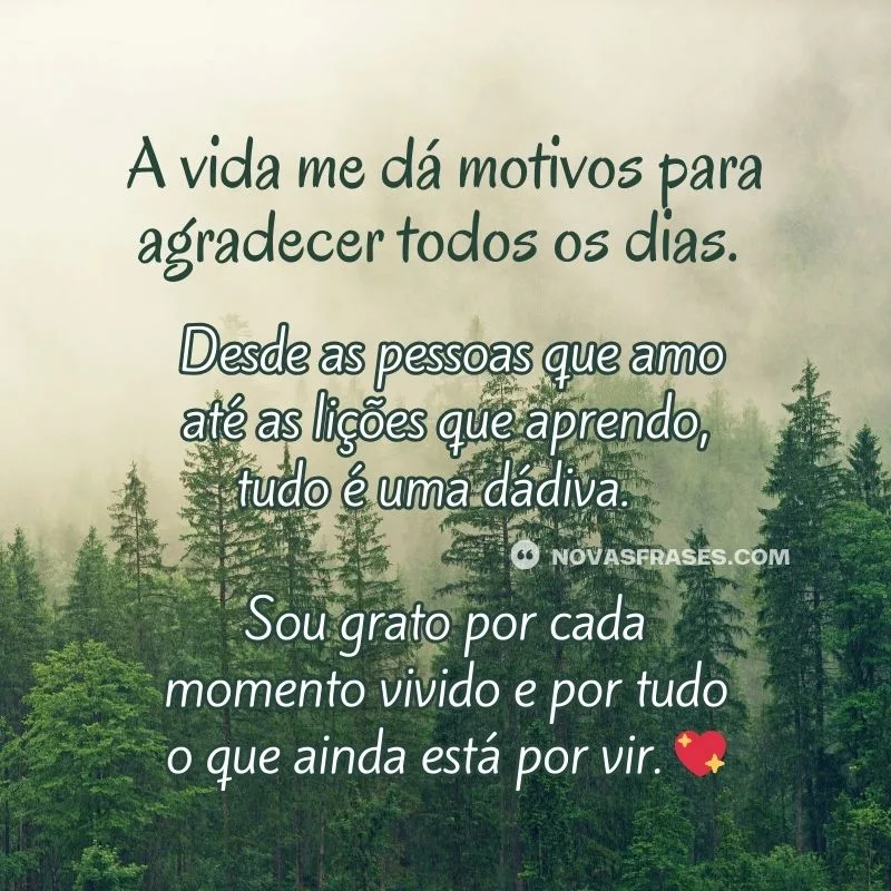 frases de agradecimento