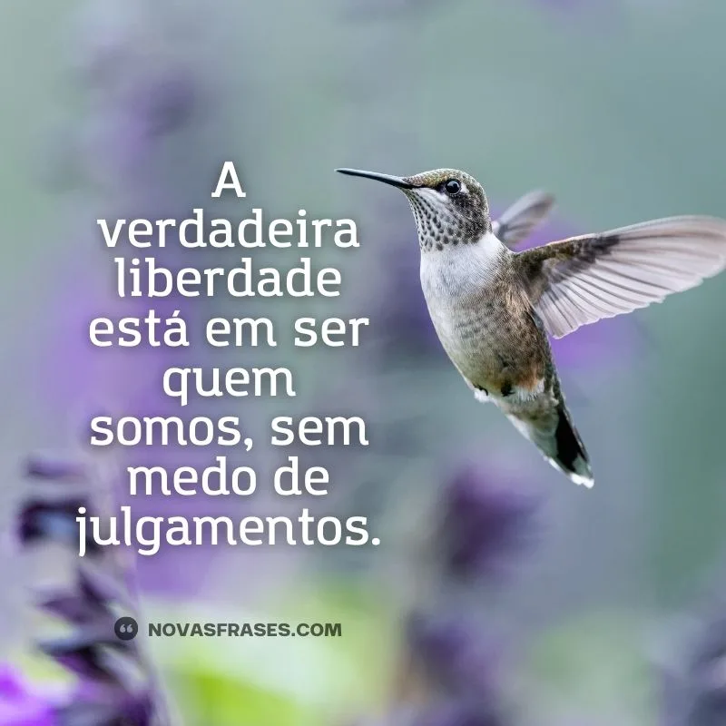 frases motivação pessoal e reflexão