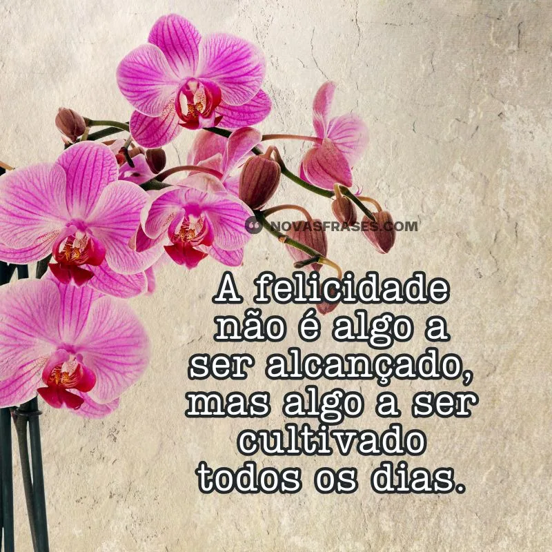 frases para fotos sozinha reflexão