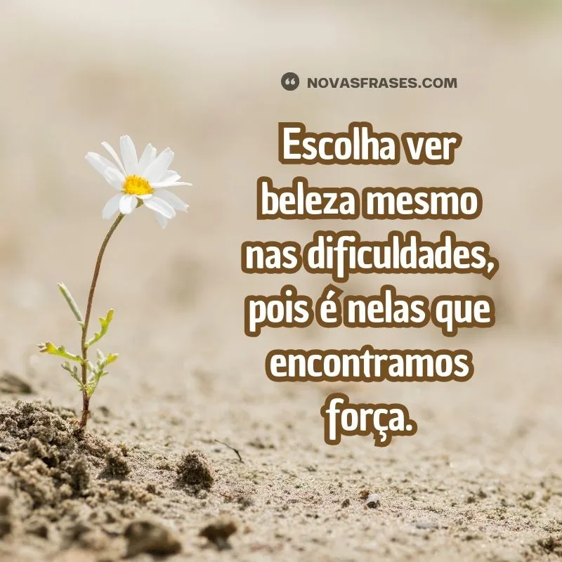 novas frases de reflexão